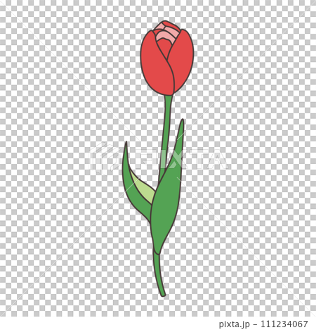 一輪のチューリップのイラスト　赤色　ベクター 111234067