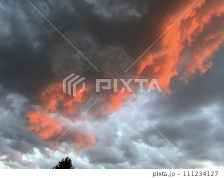 夕暮れ空に、夕陽に染まる多めの雲(樹)/The sky 夕暮れ空に、夕陽に染まる多めの雲(樹)/The sky 111234127