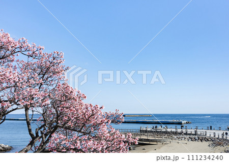 静岡県熱海市 海岸の風景 静岡県熱海市 海岸の風景 111234240
