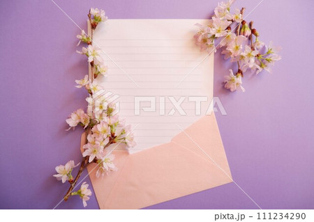 紫背景に置かれた桜の花と空白の手紙、春のお便り 111234290