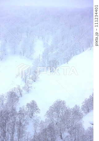 冬の青森の城ヶ倉大橋からの雪景色 111234401