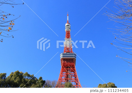 東京タワー　青空にそびえる東京タワー 111234405