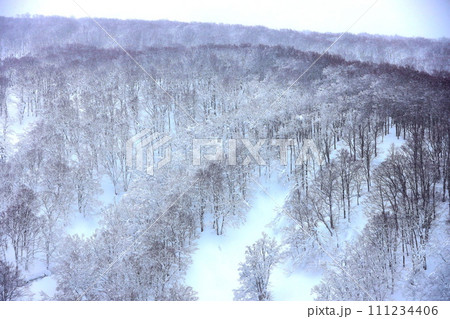 冬の青森の城ヶ倉大橋からの雪景色 111234406