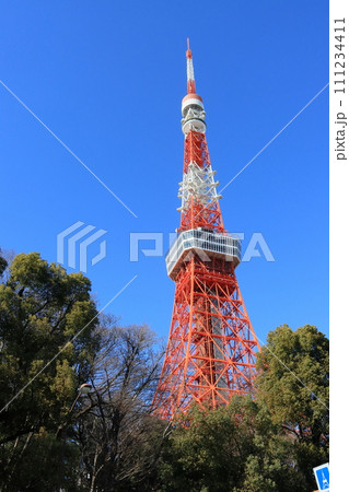 東京タワー 青空にそびえる東京タワー 東京タワー 青空にそびえる東京タワー 111234411