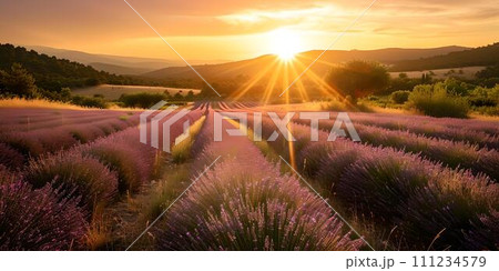 Breathtaking lavender fields at sunset, serene nature scene. vibrant colors kissing the horizon. idyllic rural landscape for relaxation and wallpaper use. AI 111234579
