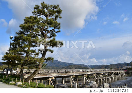 日本の春の京都　嵐山周辺の街並み　観光名所の渡月橋と桂川　立派な松の木と美しい新緑 111234782