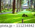 平泉寺白山神社 111234842