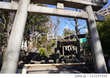 南千住の素戔嗚神社（スサノオ神社） 111235102