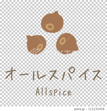 オールスパイス　Allspice　イラスト 111235439