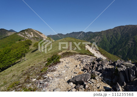 中倉山と沢入山、孤高のブナに出会う栃木県 中倉山と沢入山、孤高のブナに出会う栃木県 111235568