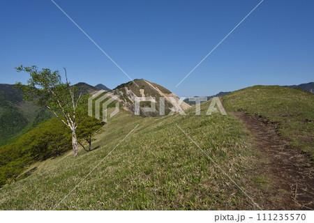 中倉山と沢入山、孤高のブナに出会う栃木県 中倉山と沢入山、孤高のブナに出会う栃木県 111235570