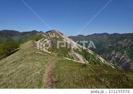中倉山と沢入山、孤高のブナに出会う栃木県 111235578