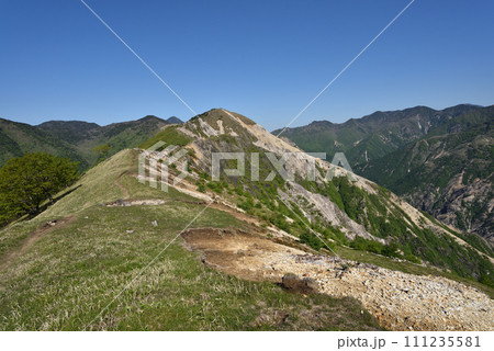 中倉山と沢入山、孤高のブナに出会う栃木県 中倉山と沢入山、孤高のブナに出会う栃木県 111235581