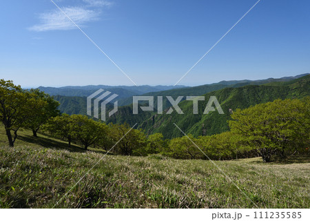 中倉山と沢入山、孤高のブナに出会う栃木県 111235585