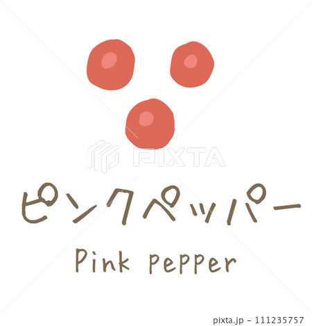 ピンクペッパー　Pink pepper　イラスト 111235757