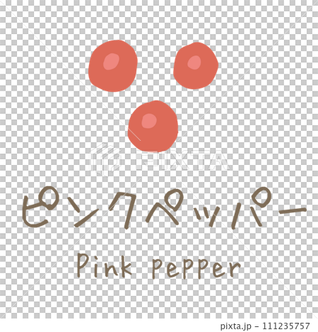 ピンクペッパー　Pink pepper　イラスト 111235757