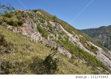 中倉山と沢入山、孤高のブナに出会う栃木県 中倉山と沢入山、孤高のブナに出会う栃木県 111235943