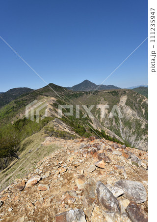 中倉山と沢入山、孤高のブナに出会う栃木県 中倉山と沢入山、孤高のブナに出会う栃木県 111235947