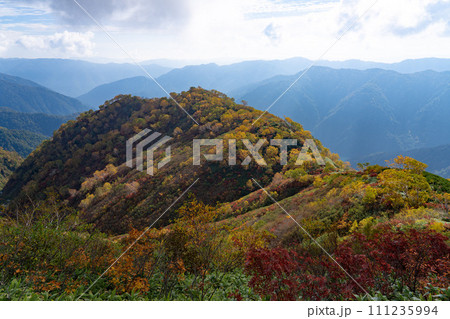 白山平瀬道からの紅葉 111235994