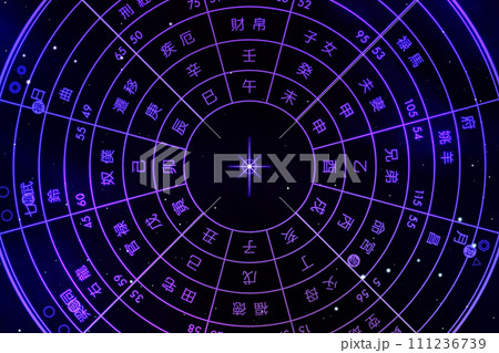 紫微斗数命盤　〜アメシストの天宮 111236739