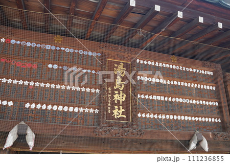文京区の湯島天神(湯島天満宮) 文京区の湯島天神(湯島天満宮) 111236855