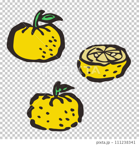 筆で描いたゆずのイラスト 111238341