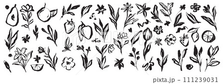 Doodle ink floral sketch set, vector flower brushstroke collection, hand drawn organic icon kit. Doodle ink floral sketch set, vector flower brushstroke collection, hand drawn organic icon kit. 111239031