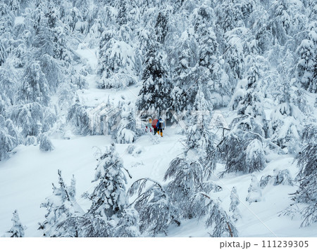 Polar expedition. Group travelers on snowshoes walks 111239305