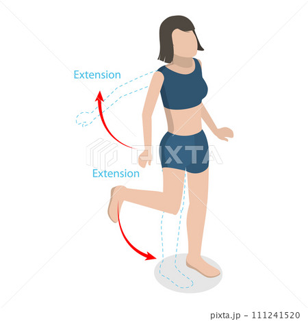 3D Isometric Flat Vector Illustration of Flexion And Extension. Item 1 3D Isometric Flat Vector Illustration of Flexion And Extension. Item 1 111241520