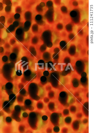 Abstract christmas blurry background 111241735