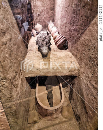 Statues of the Great Temple of Amun at sunset, Karnak Temple most famous view, Luxor, Egypt Statues of the Great Temple of Amun at sunset, Karnak Temple most famous view, Luxor, Egypt 111242114