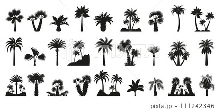 Palm tree silhouettes. Isolated flat exotic trees, palms black silhouette. Abstract botanical elements, decorative tropical plants neoteric vector clipart Palm tree silhouettes. Isolated flat exotic trees, palms black silhouette. Abstract botanical elements, decorative tropical plants neoteric vector clipart 111242346