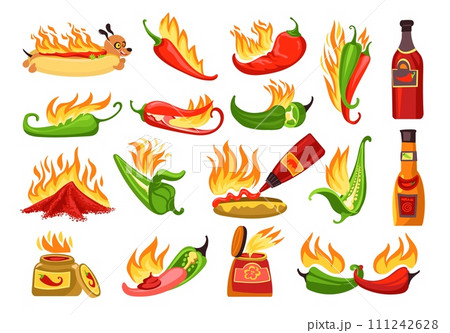 Cartoon hot sauce. Chili ketchups in different bottles. Salsa jars. Red or green peppers. Spicy hotdog. Paprika taste. Burning jalapeno. Mexican kitchen. Spice products. Splendid vector set Cartoon hot sauce. Chili ketchups in different bottles. Salsa jars. Red or green peppers. Spicy hotdog. Paprika taste. Burning jalapeno. Mexican kitchen. Spice products. Splendid vector set 111242628