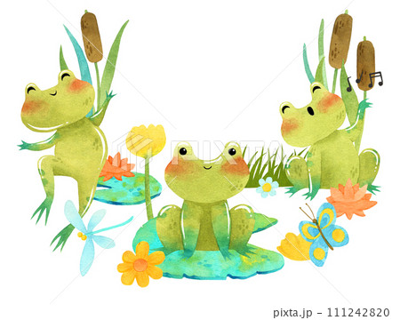 Cute funny green frog, toad watercolor illustration with eggs and tadpole 111242820