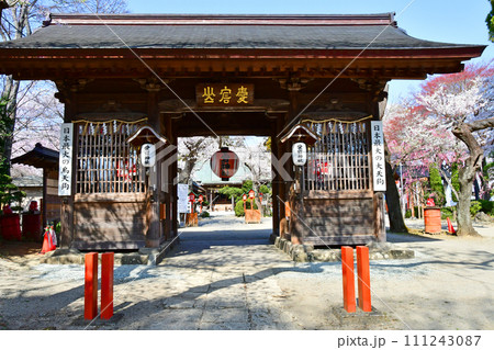 杜の都仙台 春 愛宕山 愛宕神社 神門 杜の都仙台 春 愛宕山 愛宕神社 神門 111243087