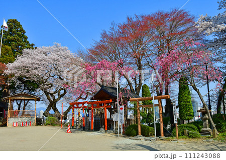 杜の都仙台　春　愛宕神社　勝鬨神社と産霊神社 111243088