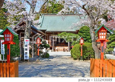 杜の都仙台 春 愛宕神社 神門をくぐり拝殿を望む 杜の都仙台 春 愛宕神社 神門をくぐり拝殿を望む 111243089