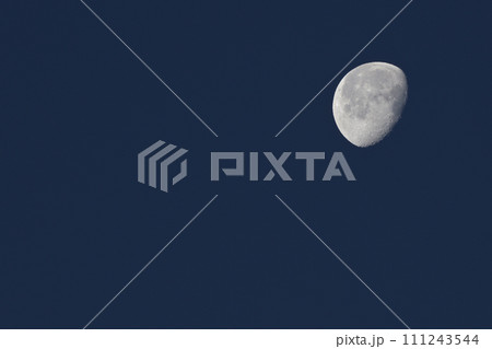 月齢18.1令和六年正月一日の朝、間もなく夜が明ける時、西に傾く寝待月 111243544