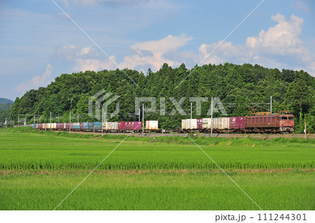 北陸本線　細呂木ー芦原温泉　JR貨物　EF81-129（富山） 111244301