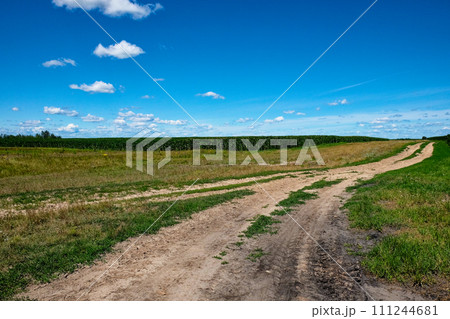 A dirt path winds through a green field under a blue sky dotted with fluffy clouds, leading towards the horizon. 111244681