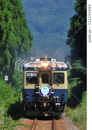 大糸線　頸城大野ー小滝　JR西日本　キハ52-125+キハ52-156（糸魚川）　糸魚川ジオパーク 111244884