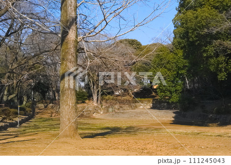 千葉県市川市里見公園周辺2024年1月 111245043