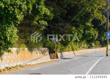 千葉県市川市里見公園周辺2024年1月 111245045