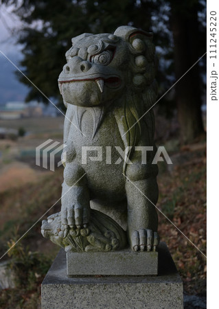北杜市白州町、白須若宮八幡神社の狛犬吽形 111245220