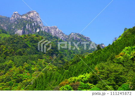 新緑の大崩山(延岡市) 新緑の大崩山(延岡市) 111245872