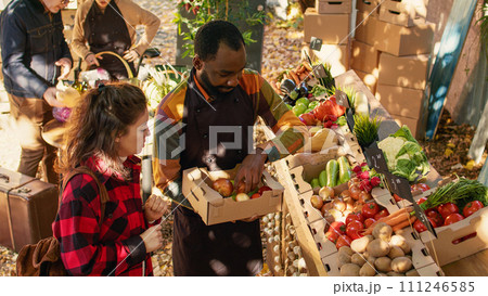 Small business owners choosing apples and veggies in box to group of vegetarian consumers, farmers market holders. People preparing organic fresh produce, healthy food at local stand. Small business owners choosing apples and veggies in box to group of vegetarian consumers, farmers market holders. People preparing organic fresh produce, healthy food at local stand. 111246585