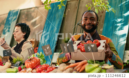 African american farmer presenting box of tomatoes on camera, showing natural locally grown produce to consumers. Male business owner holding colorful bio products. Handheld shot. 111246612