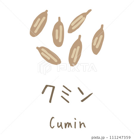 クミン Cumin イラスト クミン Cumin イラスト 111247359