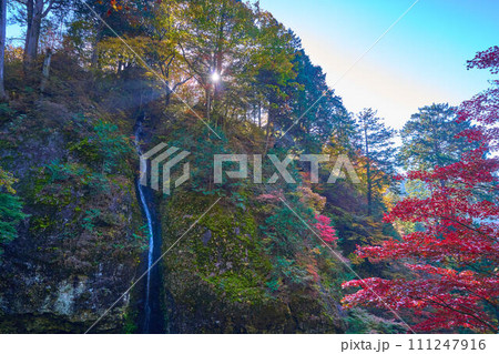 秋の群馬県高崎市 榛名神社の瓶子の滝(みすずのたき)と紅葉 秋の群馬県高崎市 榛名神社の瓶子の滝(みすずのたき)と紅葉 111247916