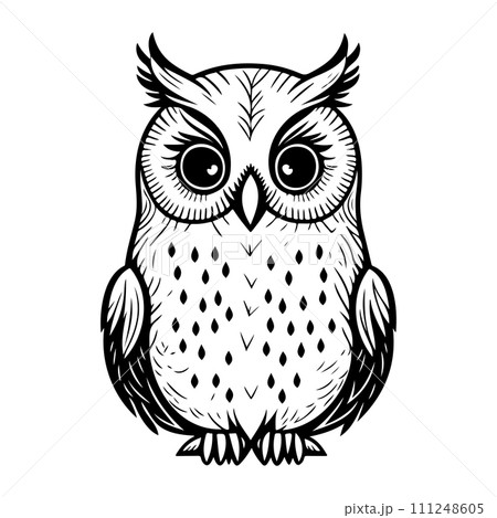 owl animal illustration sketch hand draw black 111248605